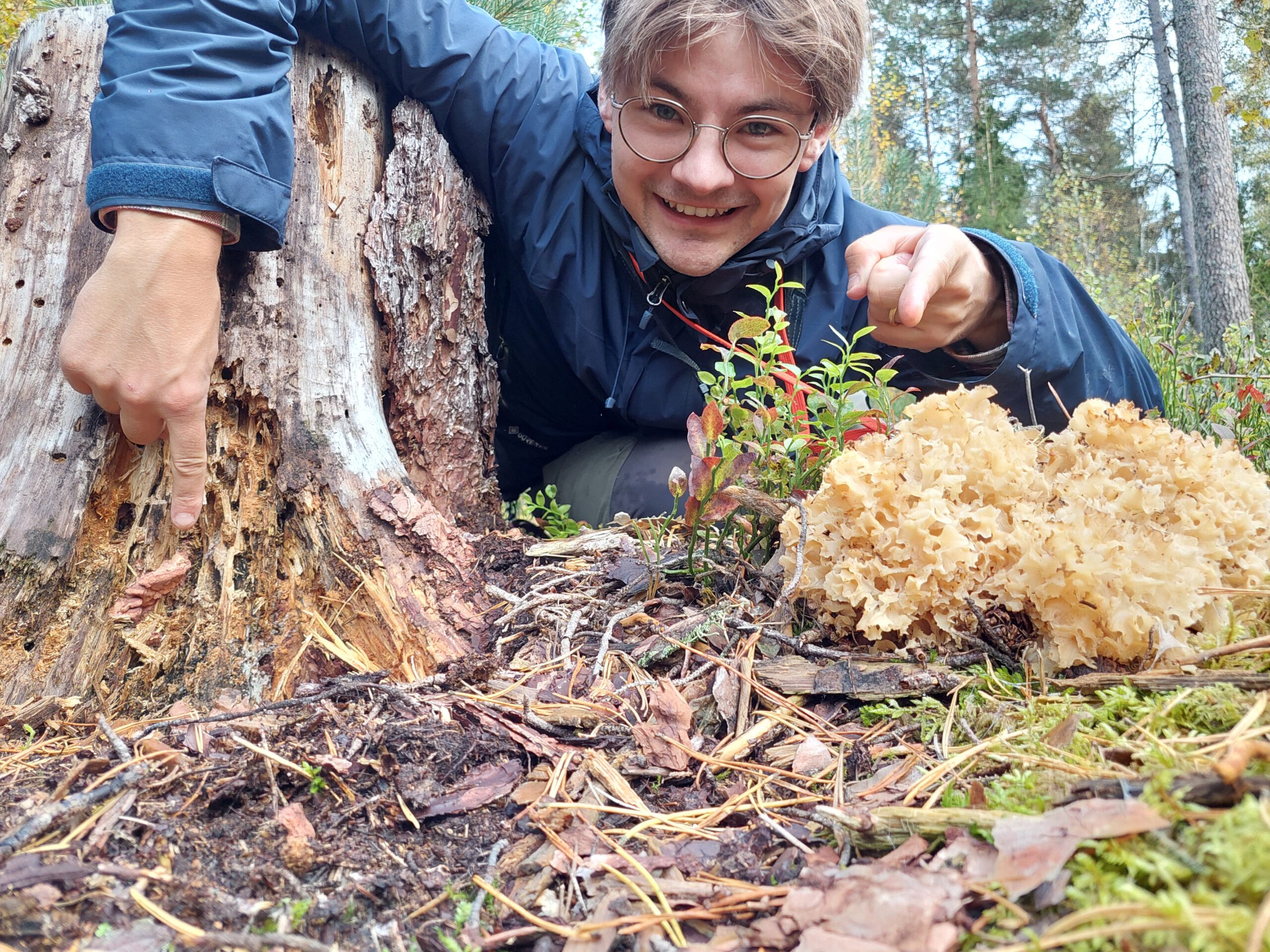 Naturvärdesinventeringar (NVI:er)